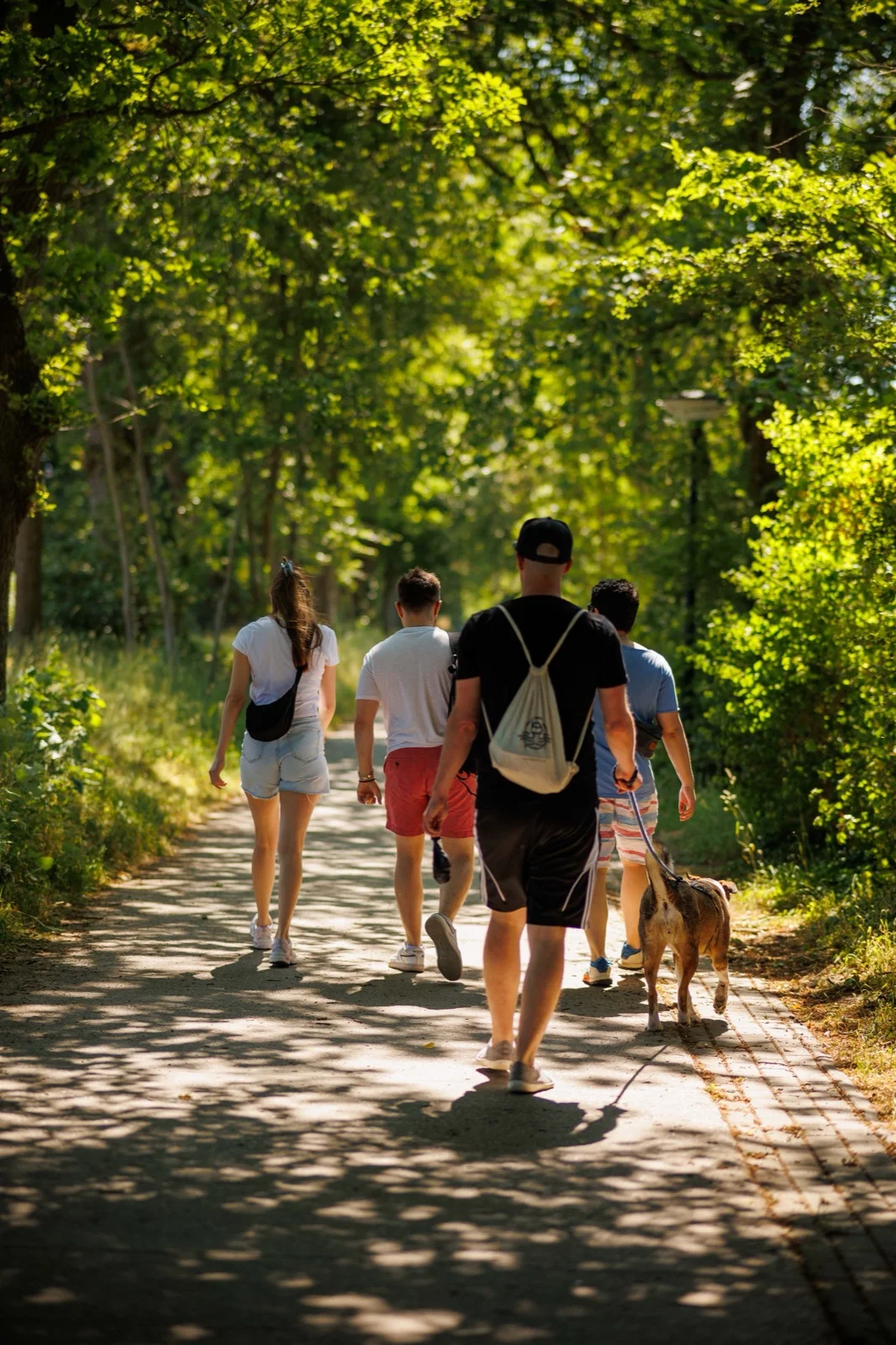 Die Crew geht mit dem Hund einen Weg durch den Wald