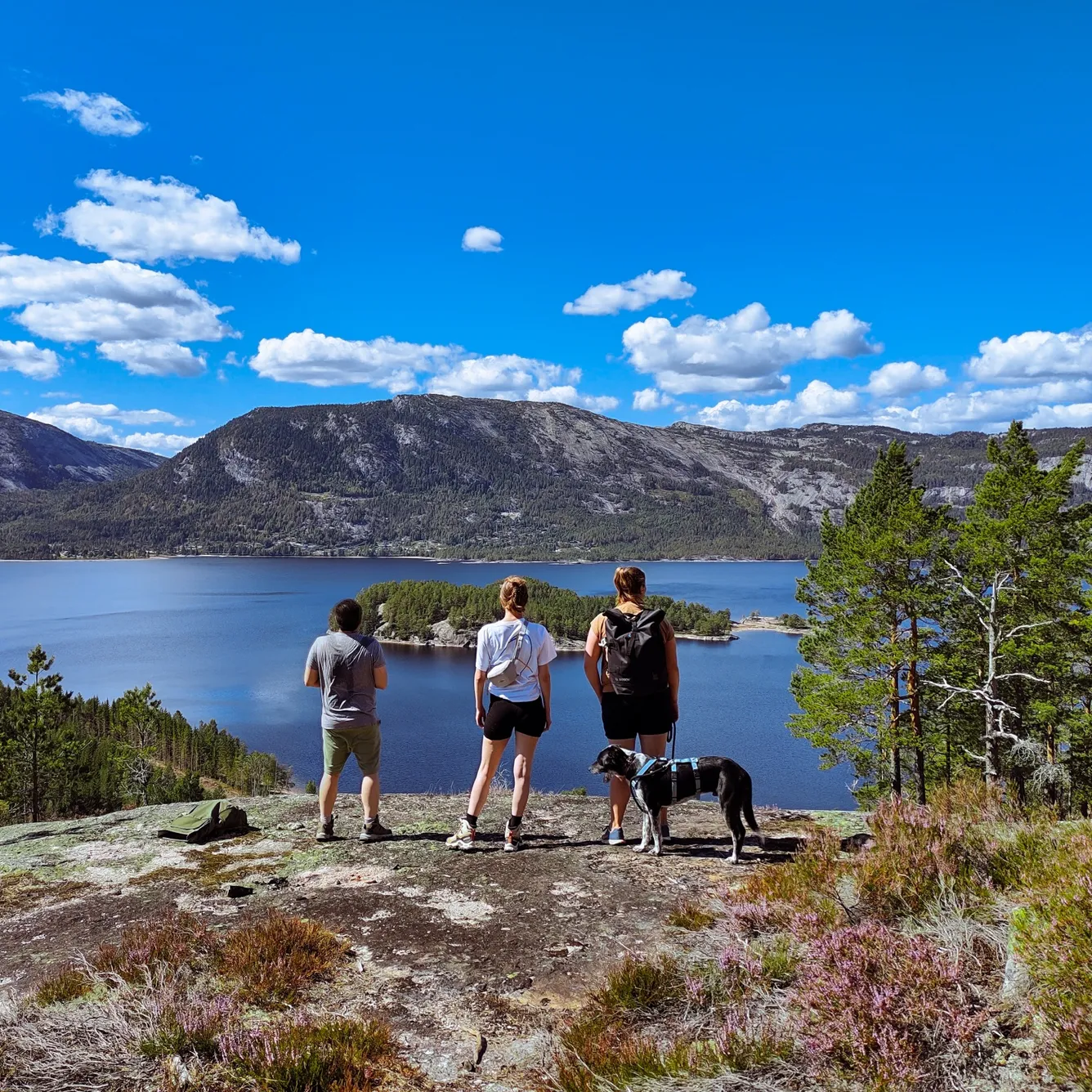 Vier aus der Crew stehen mit dem Hund auf einem Felsen über dem Fjord