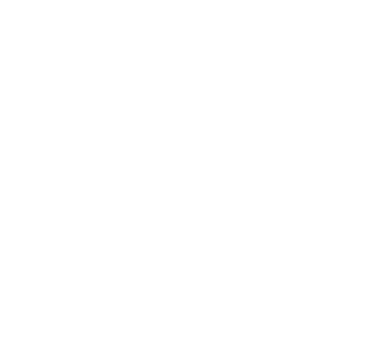 Logo von Traefik