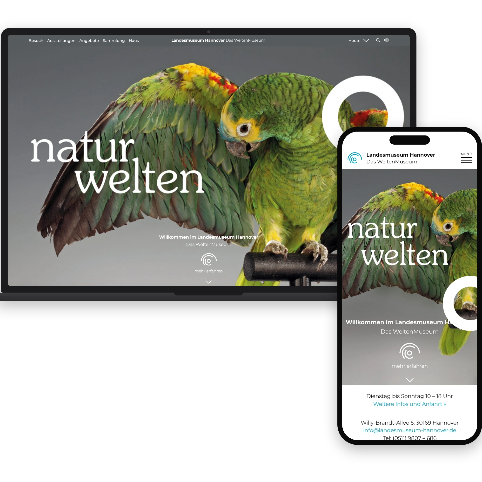 Startseite von landesmuseum-hannover.de mit dem Papagei der NaturWelten als Aufmacher, Desktop und Handy